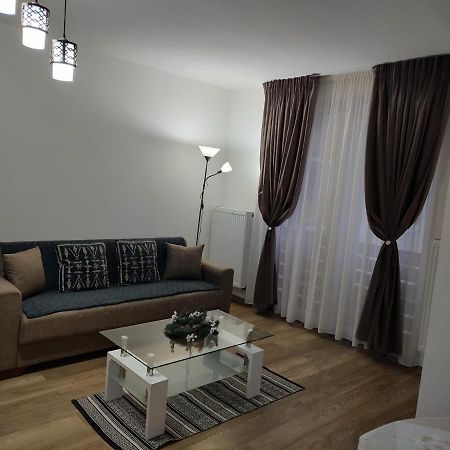 Casa Ioana Apartment Targu-Mures Bagian luar foto