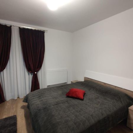 Casa Ioana Apartment Targu-Mures Bagian luar foto