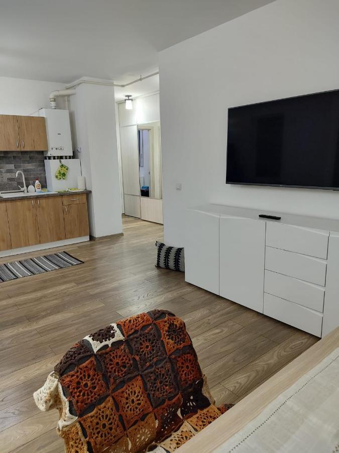 Casa Ioana Apartment Targu-Mures Bagian luar foto
