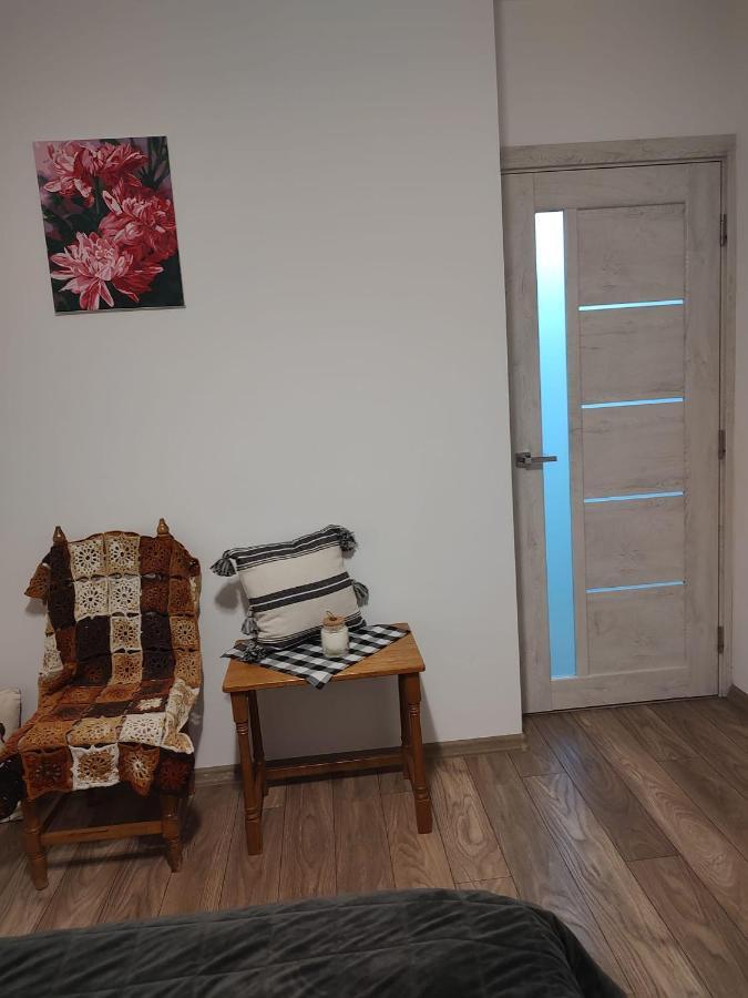 Casa Ioana Apartment Targu-Mures Bagian luar foto