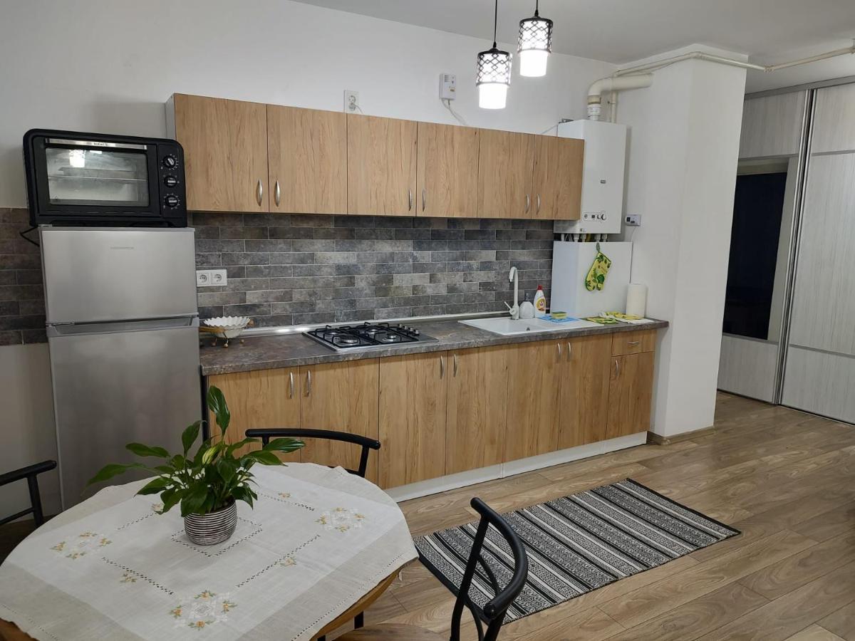 Casa Ioana Apartment Targu-Mures Bagian luar foto