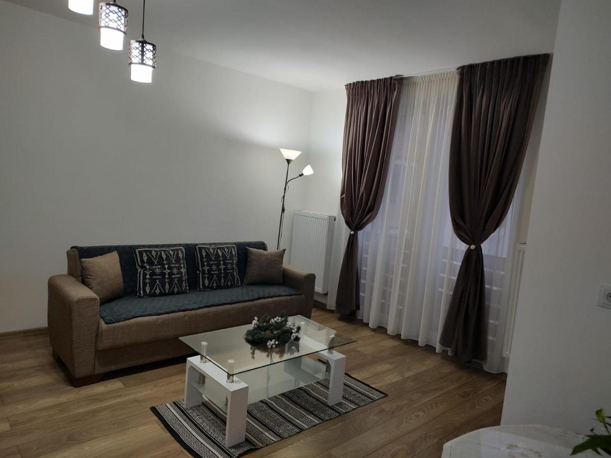 Casa Ioana Apartment Targu-Mures Bagian luar foto