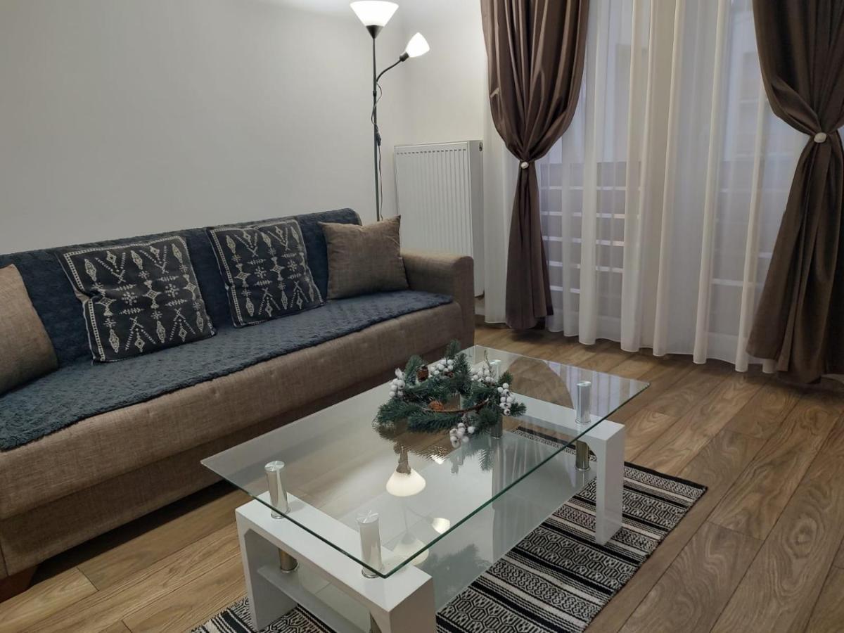Casa Ioana Apartment Targu-Mures Bagian luar foto