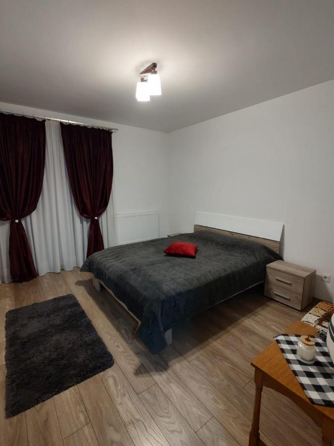 Casa Ioana Apartment Targu-Mures Bagian luar foto