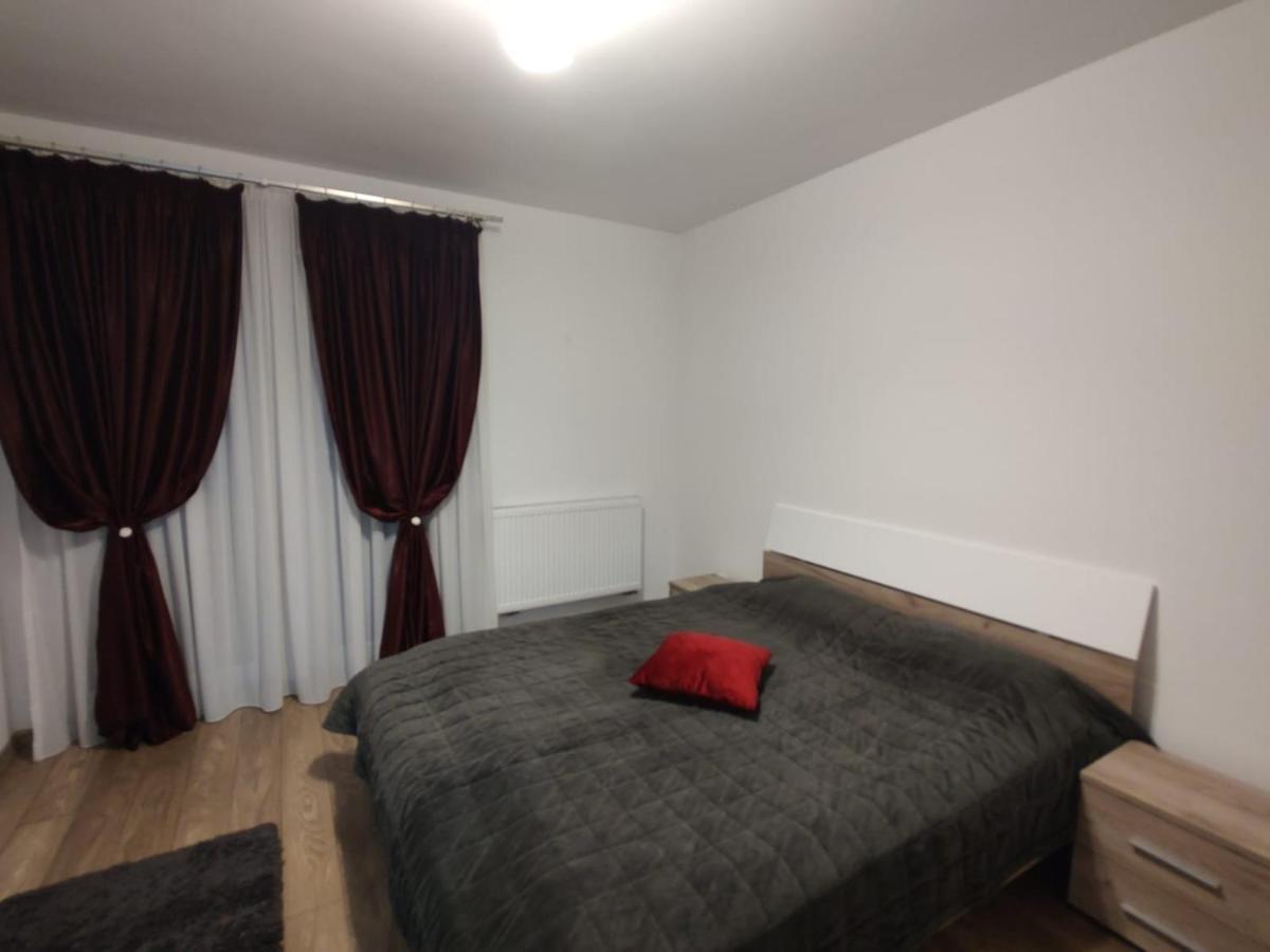 Casa Ioana Apartment Targu-Mures Bagian luar foto