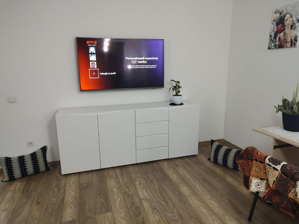 Casa Ioana Apartment Targu-Mures Bagian luar foto