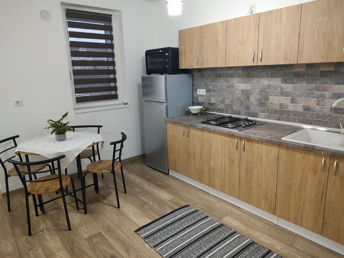 Casa Ioana Apartment Targu-Mures Bagian luar foto
